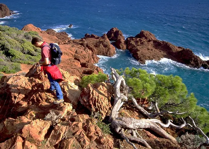 La Potiniere Apartment Saint-Raphaël